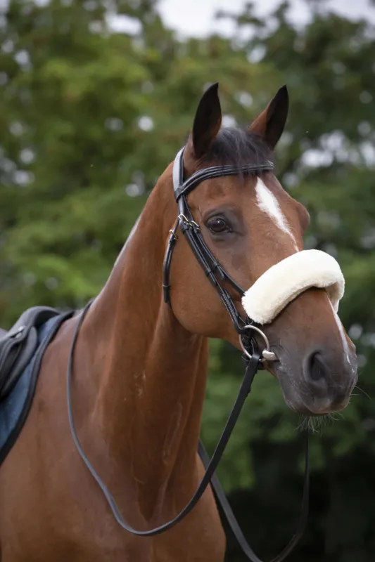 Fourreau de muserolle Equithme Teddy - Cheval - Ecru Super Prix