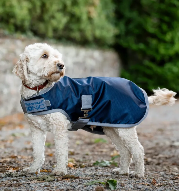 Couverture thrapeutique pour chien Horseware Ionic 50g - XL - Bleu imprial / argent & marine Bon March