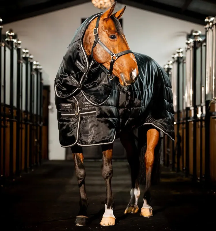 Seulement Aujourdhui Couverture d'curie Horseware Easy-Layer Plus 400g - 125 cm - Noir / noir / argent