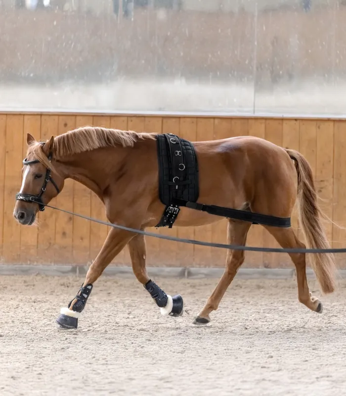 Jusqu puisement Des Stocks Bandage corporel Waldhausen arrire-main - Cob / cheval - Noir