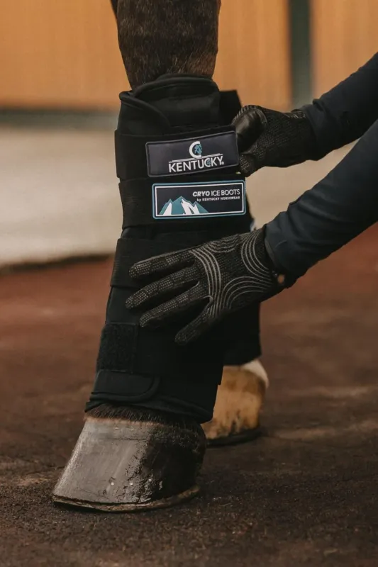Expdi Aujourdhui Gutres Cryo Refroidissantes Kentucky - Noir