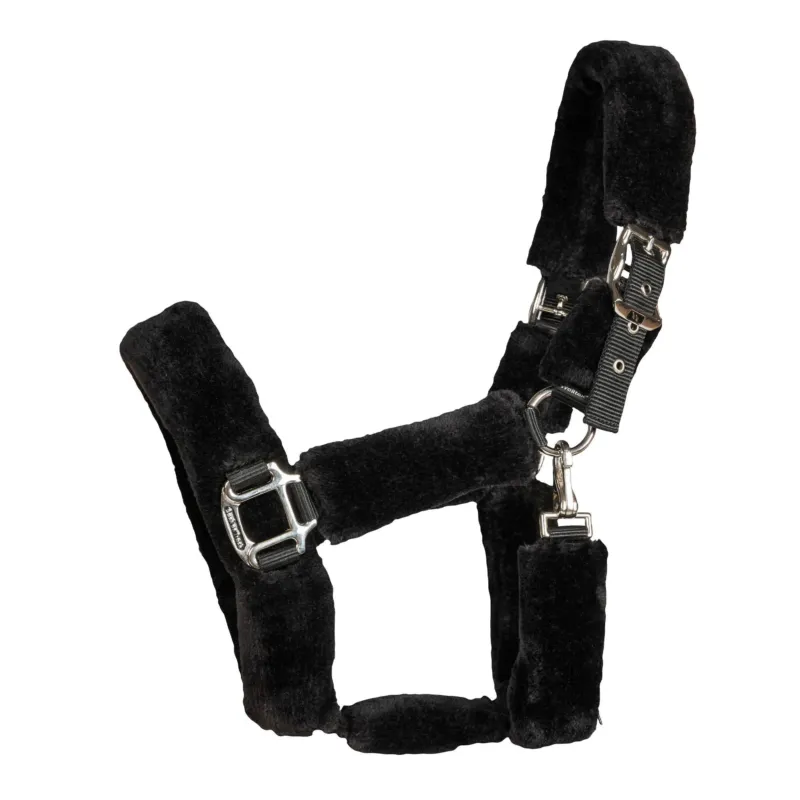Solde Licol Audrey Back on Track - Poney - Noir