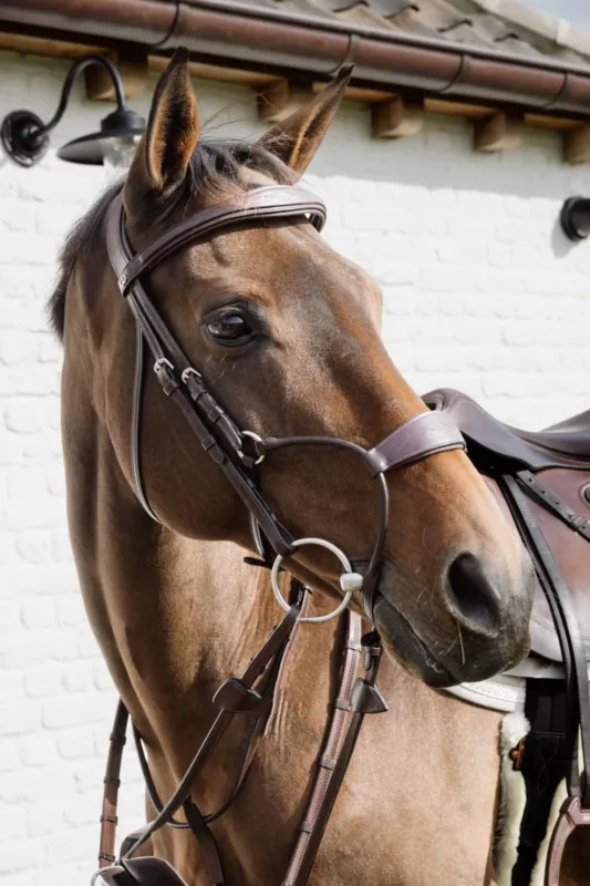 Muserolle Hybride Dy'on New English Collection - Poney - Marron Paiement Scuris