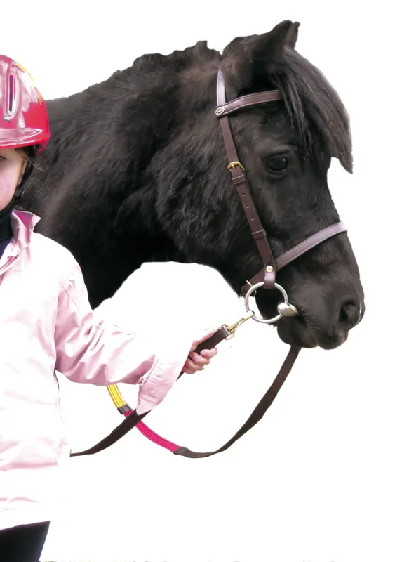 Bridon Educatif Canter Shetland - Noir Super Prix