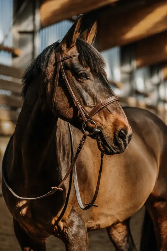Bridon Norton Hunter comfy - Cheval - Marron Certifi