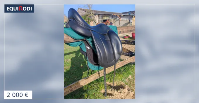 Commander Maintenant Selle dressage Forestier