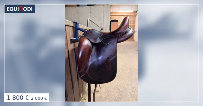 Acheter Direct Selle Antares dressage marron 17"