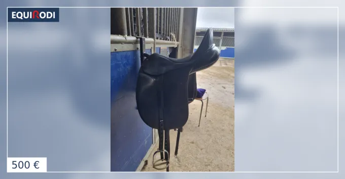 Offre Limite Selle dressage Isabelle Werth
