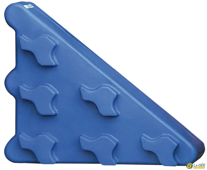 Quantit Limite Multibloc d'obstacle grand modle Bleu