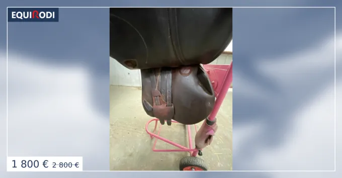 Meilleur Choix Selle antares
