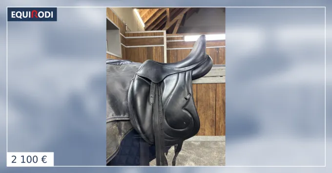 Dernire Chance Selle de dressage Antares Cadence
