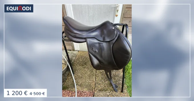 Solde Selle mixte Forestier Boeckelo