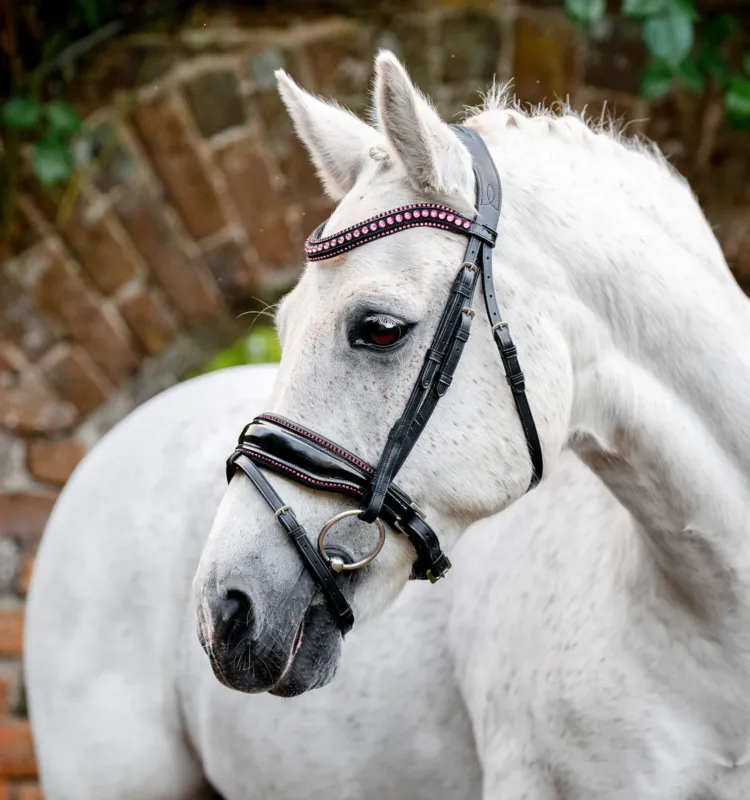 Bridon poney Horseware Diamante Flash - Poney - Noir / rose Offre Du Jour