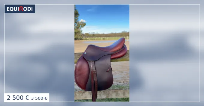 Meilleur Prix Selle CWD 2022 17 pouces
