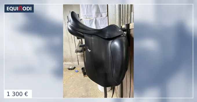 Selle dressage Equipe Emporio Achat Immdiat
