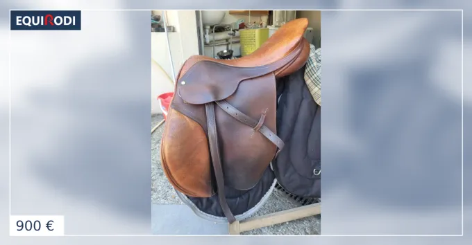 Marque Selle Legacy mixte marron en cuir 17.5
