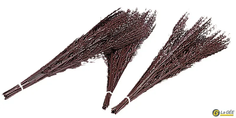 Livraison Express Bouquet de bouleau (x15)