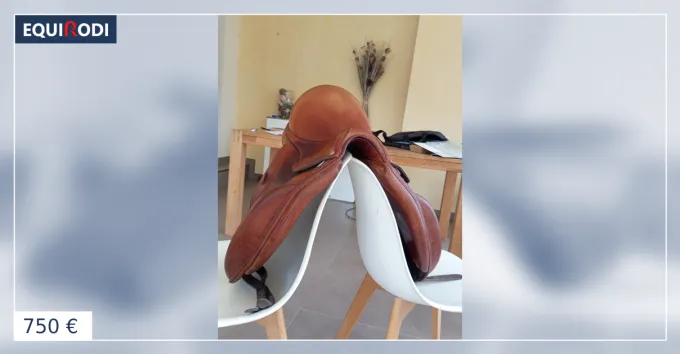 Prix Promo Selle de Dressage Forestier