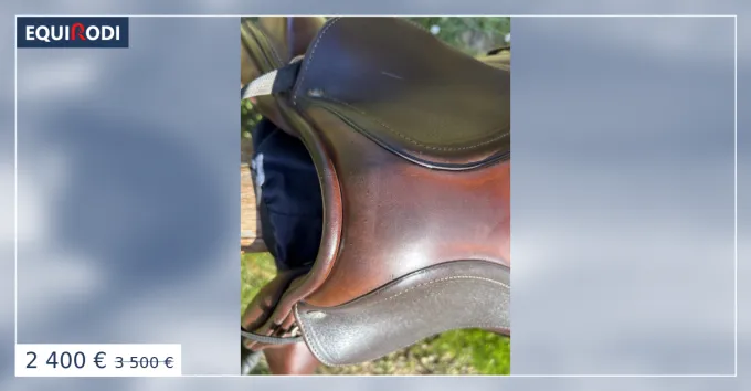Offre Exclusive Selle Antares monoquartier