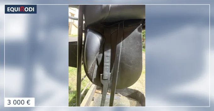 Achetez Aujourdhui Selle Sirius Passier taille 17,5
