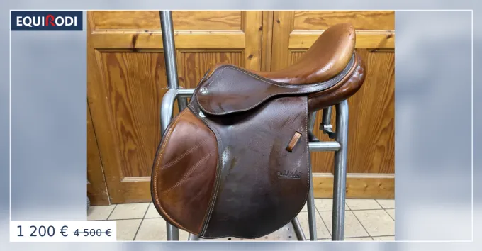 Selles Michel Robert CSP Prestige Italia - 16 - 2021 Meilleur Prix