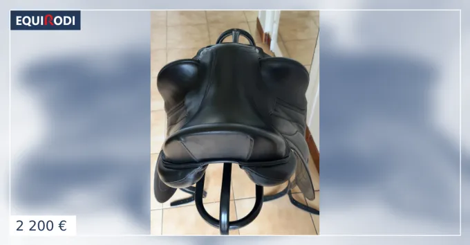 Selle Antars dressage Dernire Chance
