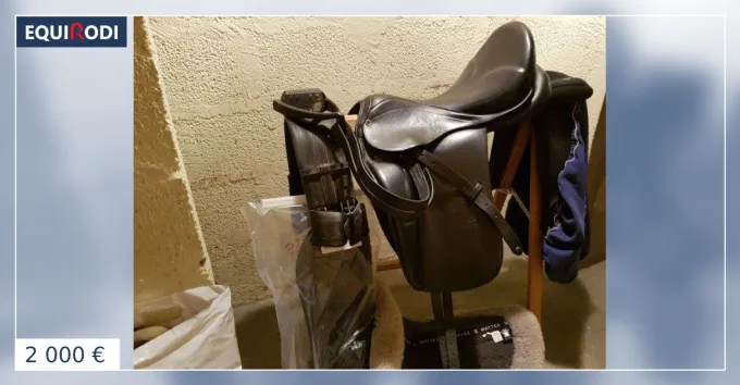 Nouvelle Collection Selle Stubben Maestoso DeLuxe Biomex - 2 000 euros