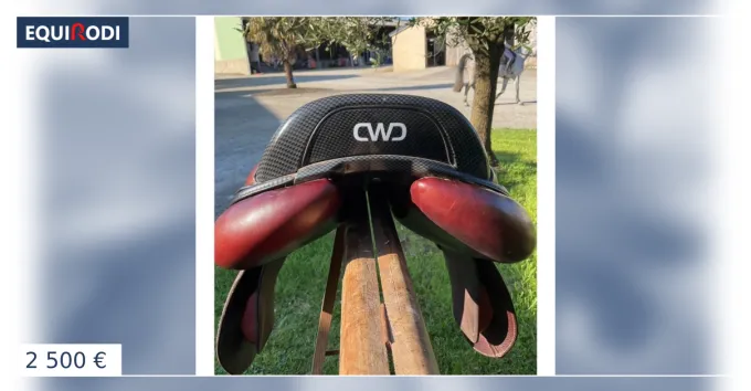 Usine Directe Selle cwd 2g kids junior