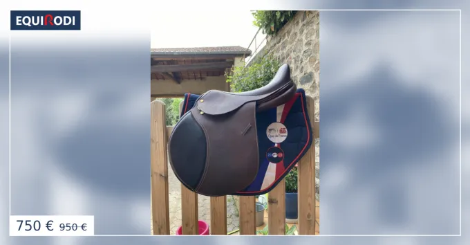 Petit Prix Selle cso 17.5 Premire Saldery