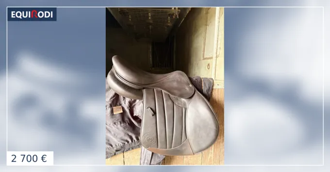 Selle forestier vendre Commander Maintenant