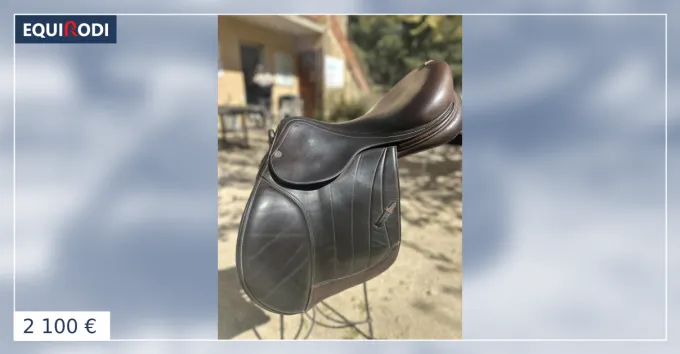 SELLE EQUIPE SPCIAL ONE CARBONE 17,5 Petit Prix