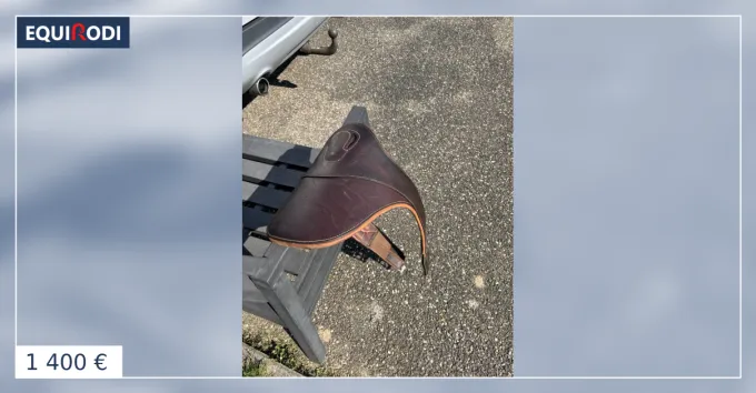 Livraison Gratuite Ensemble Antars complet Selle + Bavette + Filet