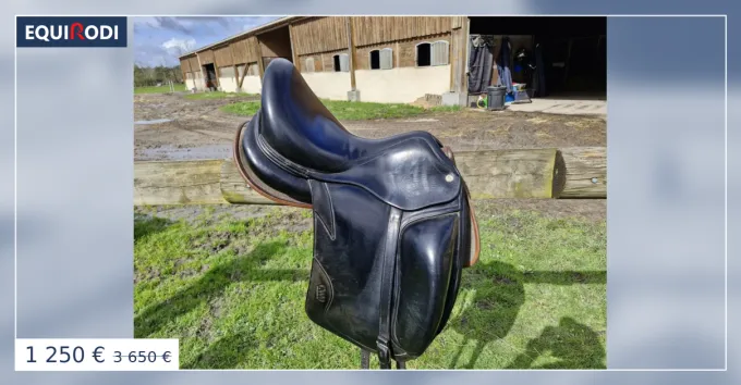 Selle de dressage CWD Achetez Aujourdhui