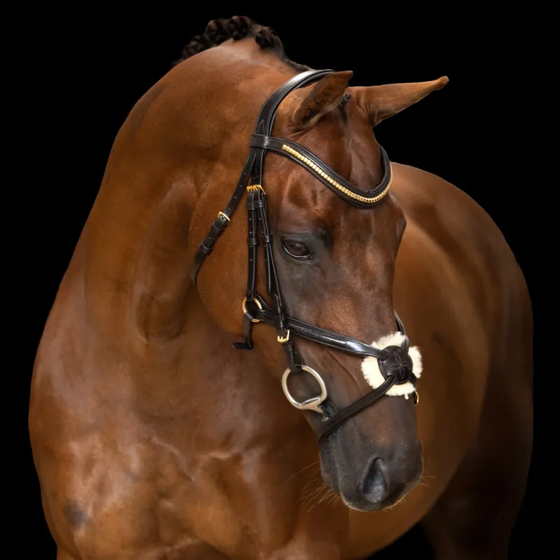 Acheter Direct Bridon muserolle mexicaine Imperial Riding - Cheval - Marron fonc