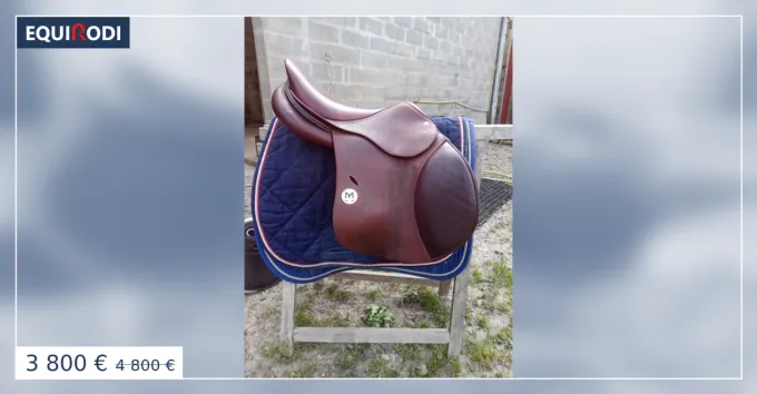 Haute Qualit Selle meyer 2024