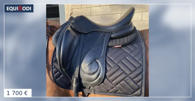 Selle Dressage Antares Cadence 18 Haute Qualit
