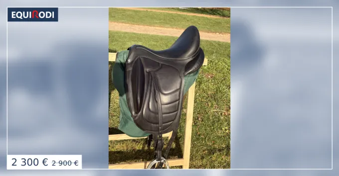 Populaire Selle de Dressage Makila Harmonie avec gardon