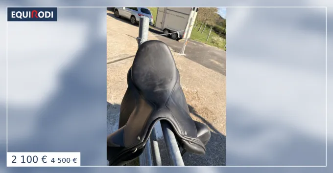 Selle Dressage Childeric Produit De Marque