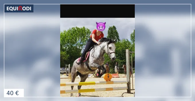 Commande En Gros Lot equipement poney