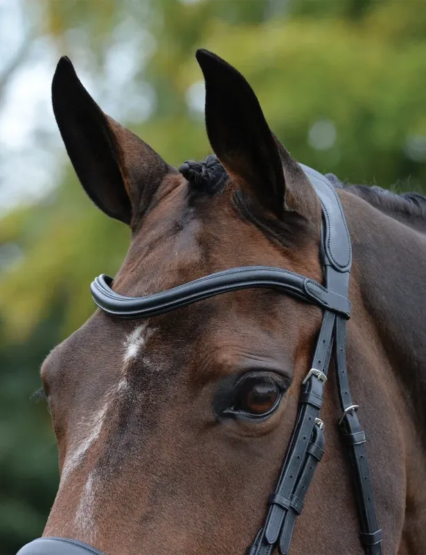 Bridon anatomique Collegiate ComFiTec Vogue - Cheval - Noir Quantit Limite