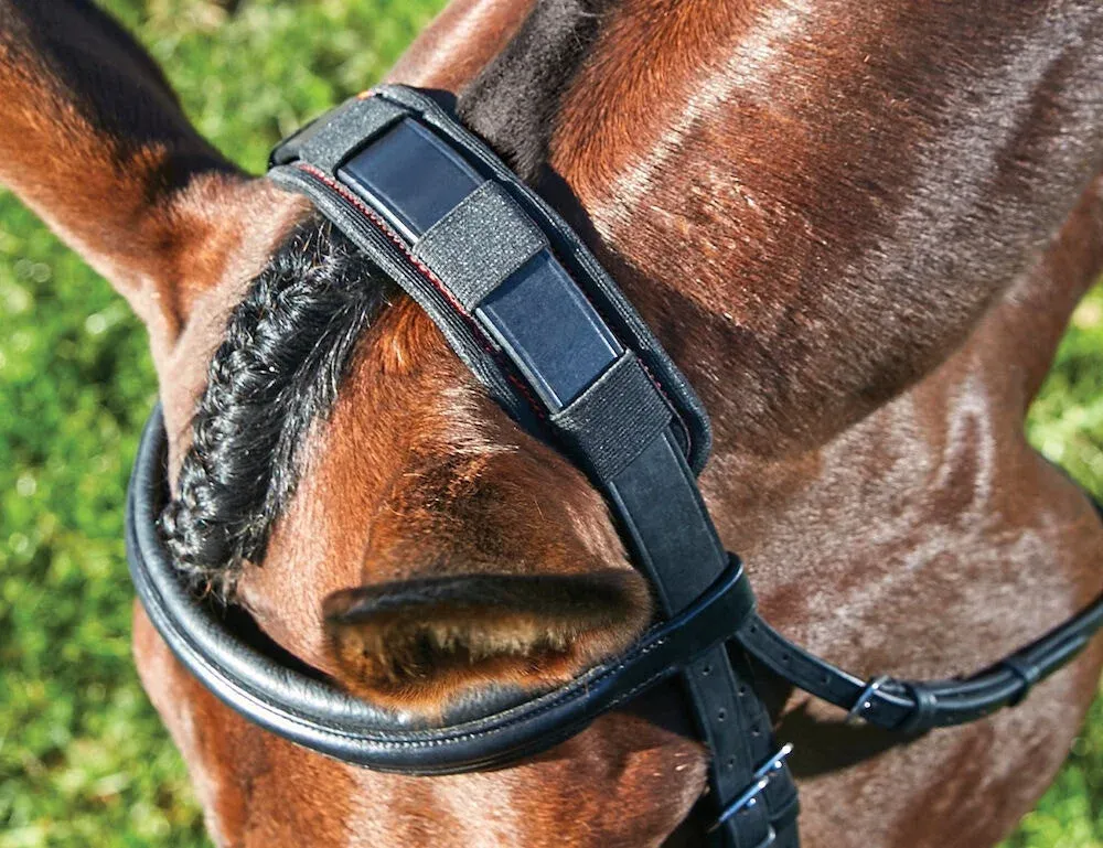 Prix Choc Protge-nuque Weatherbeeta Therapy-Tec - S - Noir