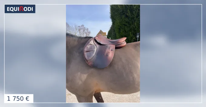Expdi Aujourdhui Selle plate 17 pouces - 2019