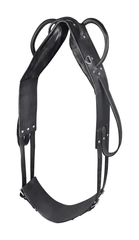 Surfaix Star voltige et longe - Cheval - Noir Prix Choc