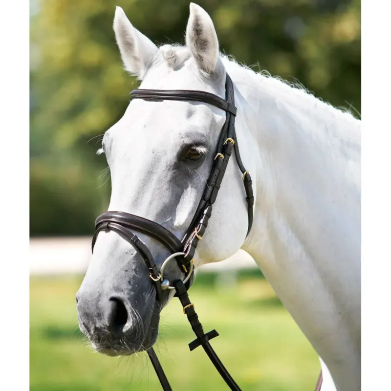 Bridon Tattini muserolle combine bombe - Cheval - Marron Meilleure Vente