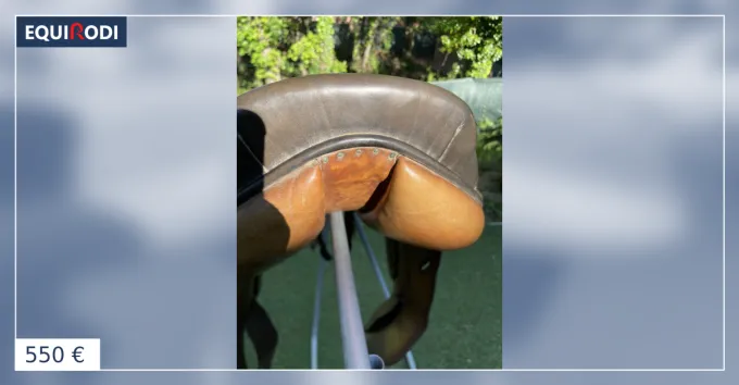 Selle dressage Macel Must-Have