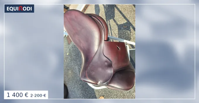 Selle Macel 16 pouces 2018 Achat Immdiat