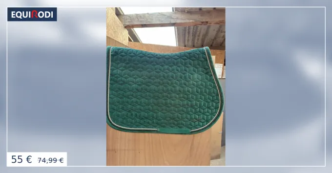 Tapis kentucky Soldes