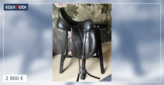Offre Limite Selle dressage Forestier AACHEN 17,5 buffle