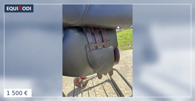 Livraison Express Selle 16,5 Pouces Jean-Luc Maurel