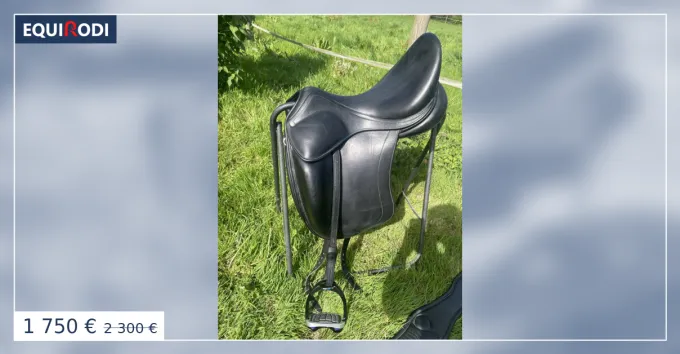Meilleur Prix Selle CHILDERIC 17.5 quipe. Trs bon tat.